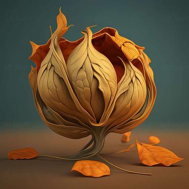 3D model Haemaphysalis concinna (STL)